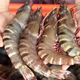 hands holding four tiger shrimp